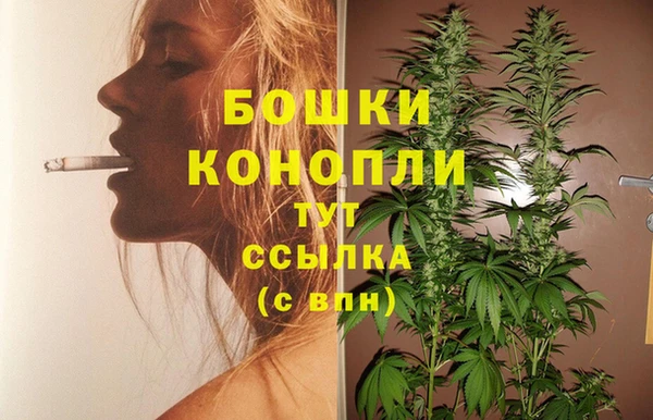 гидропоника Аркадак